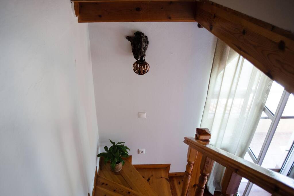 Kohyli Beachfront House Agia Pelagia Chlomou Eksteriør billede