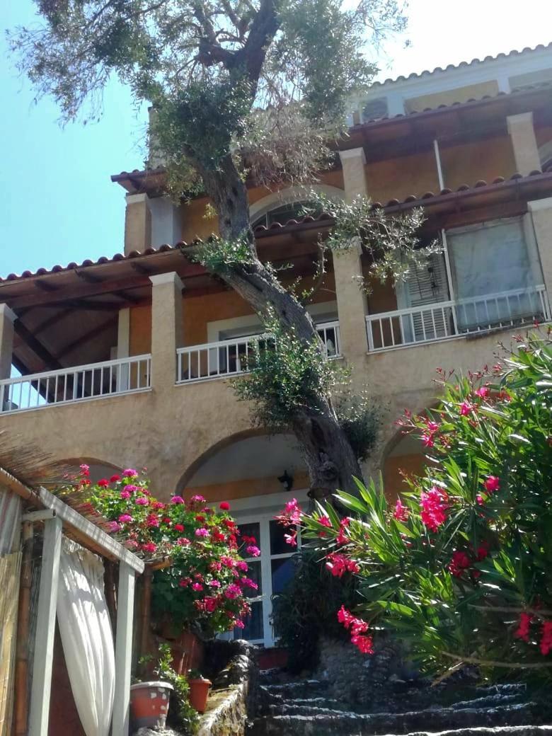 Kohyli Beachfront House Agia Pelagia Chlomou Eksteriør billede