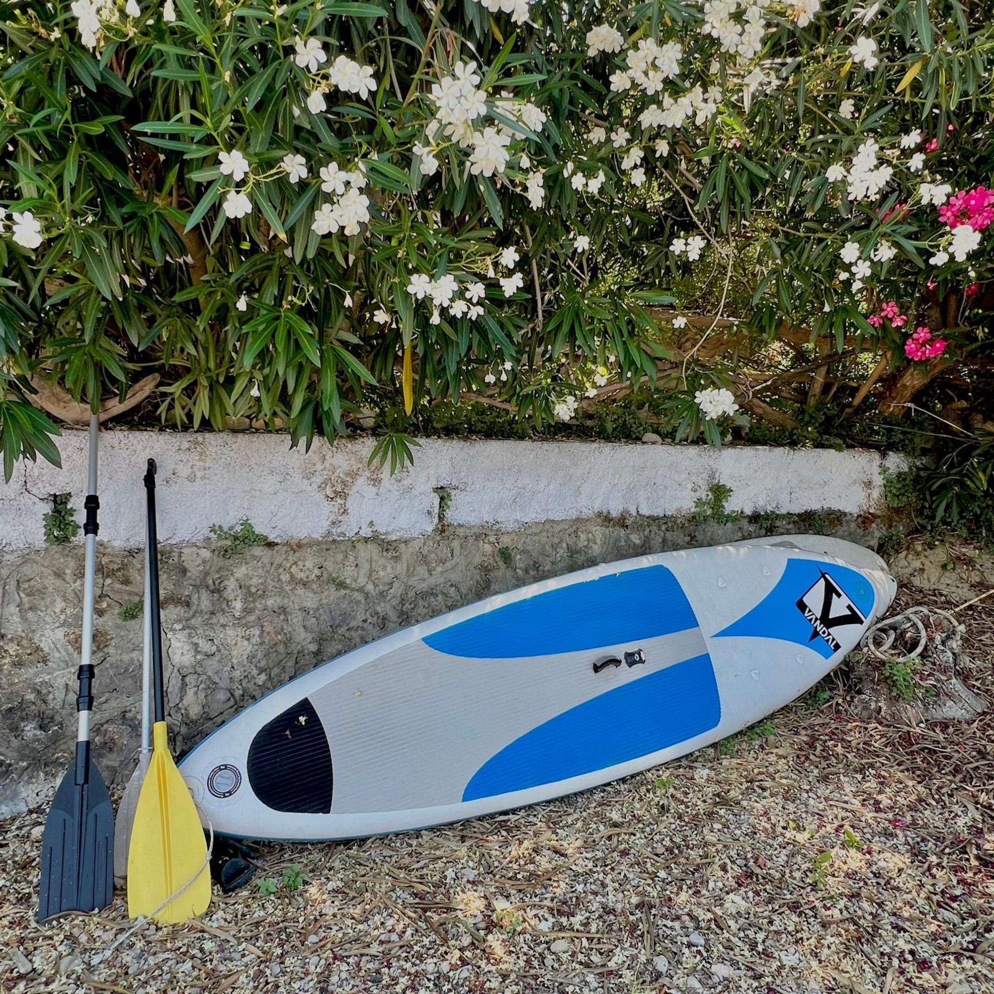 Kohyli Beachfront House Agia Pelagia Chlomou Eksteriør billede