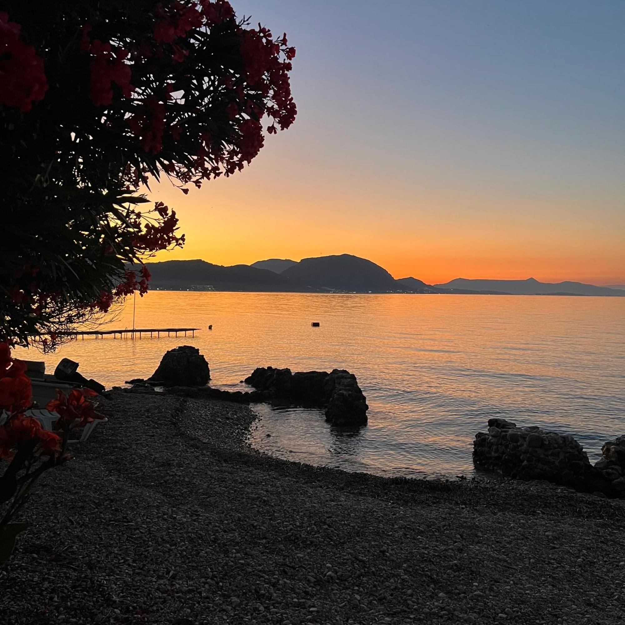 Kohyli Beachfront House Agia Pelagia Chlomou Eksteriør billede